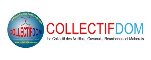 Bandeau COLLECTIFDOM couleur 2013