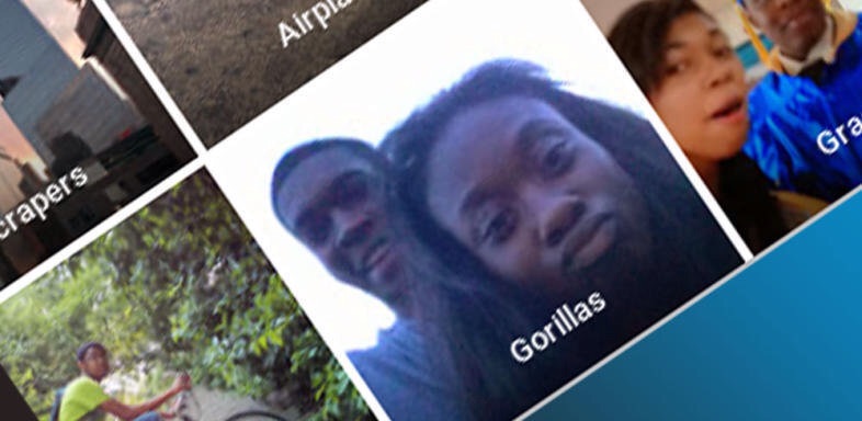 Le logiciel a identifié un couple de Noirs américains comme des gorilles. (photo: Google/Montage)