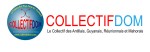 Bandeau COLLECTIFDOM couleur 2013