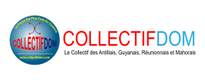 Bandeau COLLECTIFDOM couleur 2013