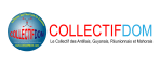 Bandeau COLLECTIFDOM couleur 2013