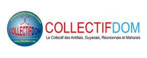 Bandeau COLLECTIFDOM couleur 2013