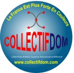 Logo COLLECTIFDOM couleur